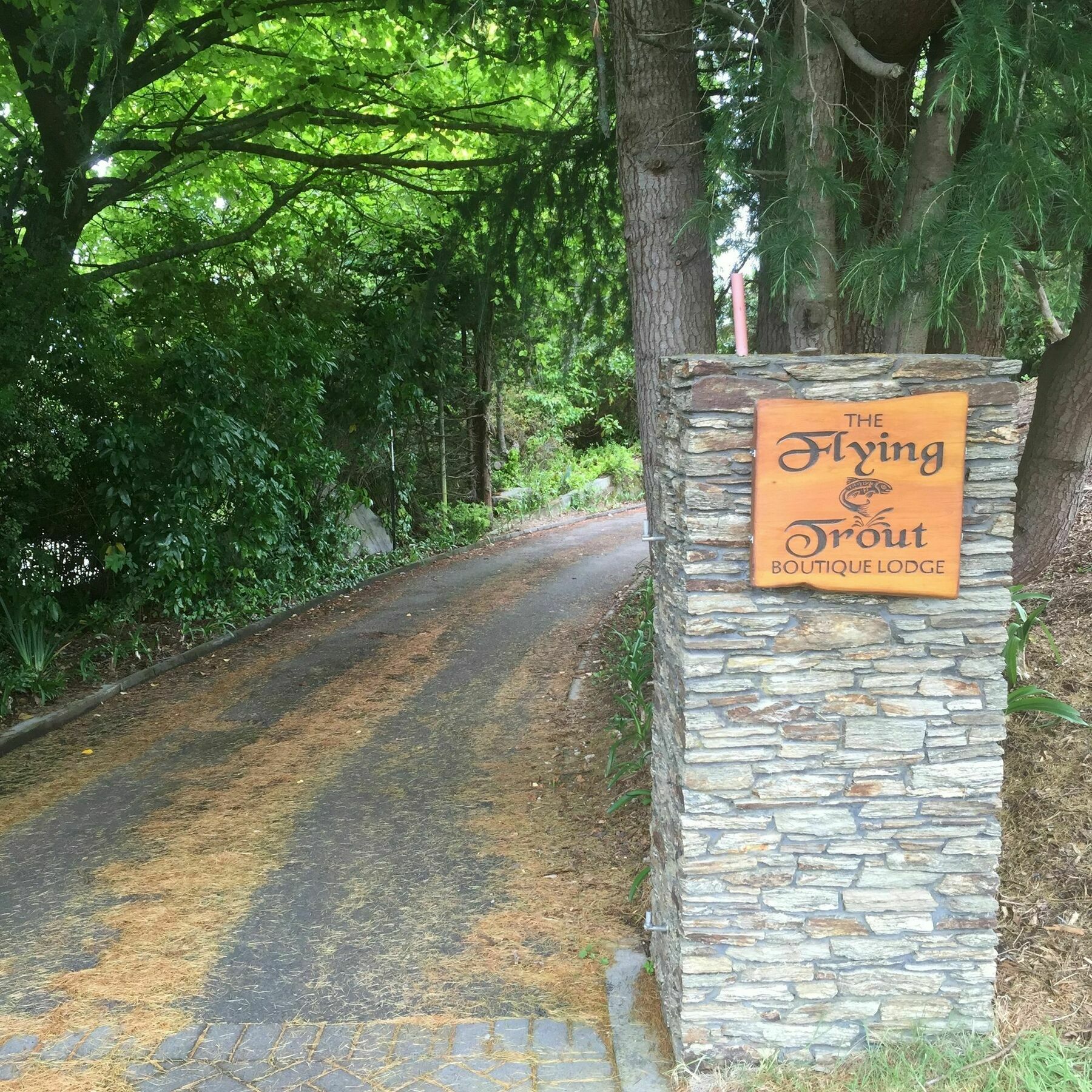 The Flying Trout Boutique Lodge Taupo Ngoại thất bức ảnh